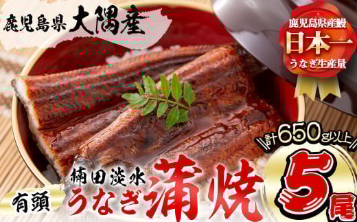 楠田の極うなぎ 蒲焼き130g以上×5尾(650g以上) c0-092