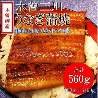 「2024年3月発送」木曽岬産「木曽三川うなぎ」うなぎ蒲焼5枚(各100g)+おまけ(60g)付【配送不可地域：離島】