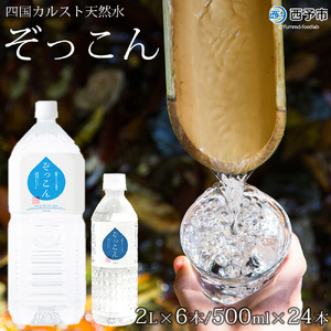 四国カルスト天然水ぞっこん　500ｍL×24本、2L×6本