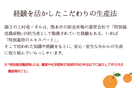 『上村農園』のご家庭用外成りみかん 約10kg(2S-2Lサイズ)《12月上旬-12月末頃出荷》予約受付中 フルーツ 秋 旬【ご家庭用】熊本県玉名郡玉東町 こだわりの手作り肥料で育つ安心・安全『上村農