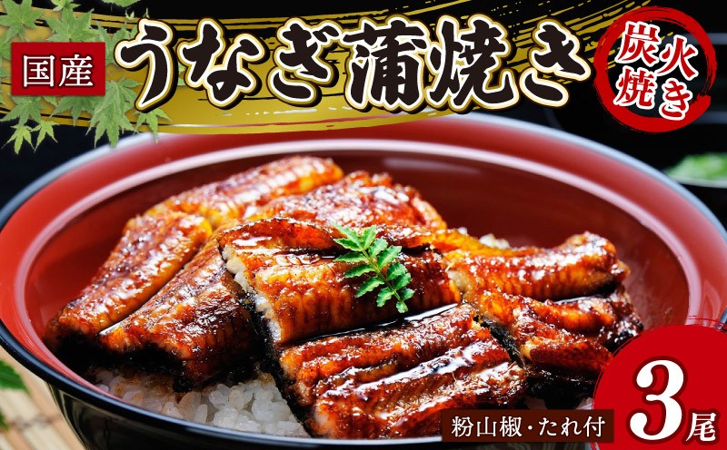 
            炭火焼き 国産 うなぎ蒲焼き 3尾入 (135g以上×3) うなぎ 鰻 ウナギ 小分け 3尾 炭火焼 炭火 蒲焼 蒲焼き うなぎ蒲焼 うなぎの蒲焼き うなぎ国産 土用丑の日 土用の丑の日 おすすめ 母の日 父の日 母の日ギフト 父の日ギフト ギフト プレゼント 滋賀 彦根 あゆの店きむら うなぎや源内
          