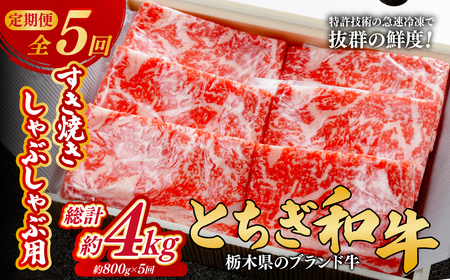 ＜定期便5回＞とちぎ和牛のすき焼き・しゃぶしゃぶ用 800g×5回 計約4kg【栃木県共通返礼品】| 和牛 定期便 栃木県 茂木町
