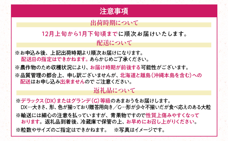 あまおう 福岡産【冬】あまおう 2パック 合計500g （1パックあたり250g） いちご 苺 果物 フルーツ 九州産 福岡県産 冷蔵 送料無料【12月上旬発送開始予定】