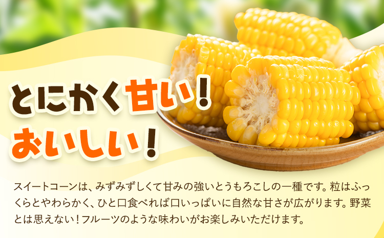 とうもろこし スイートコーン 10本 髙橋商店《2026年5月中旬-6月下旬頃出荷》熊本県 苓北町 野菜 コーン 玉蜀黍 コーンバター 焼きとうもろこし コーンスープ---reihoku_ths_6_