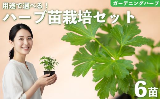 ハーブ 苗 栽培キット ガーデニングハーブ 6品種 花苗 苗木 ガーデニング 寄せ植え プランター 土 肥料 付き プレゼント 育成セット 日用品 園芸 花苗 おすすめ セット ポタジェガーデン 埼玉県 羽生市