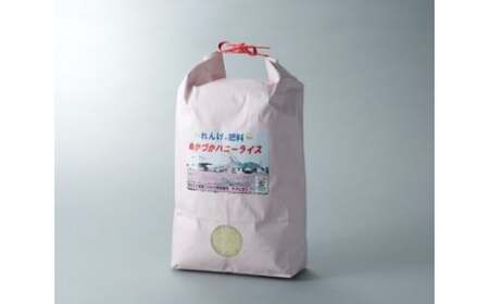 米 5kg お米  ハニーライス白米　キヌヒカリ５kg(精米後４．５Kg)　O-I03　農事組合法人万葉の郷ぬかづか 東近江