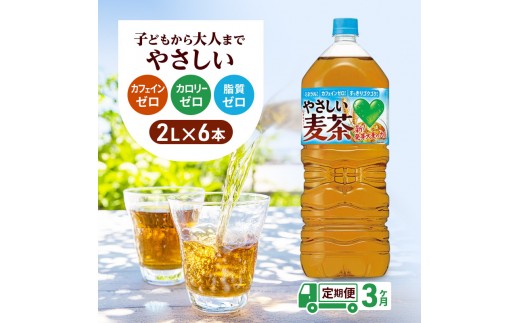 
                  お茶 定期便 3ヶ月 GREEN DA・KA・RA やさしい麦茶 2L × 6本 麦茶 ドリンク 定期 3回
                