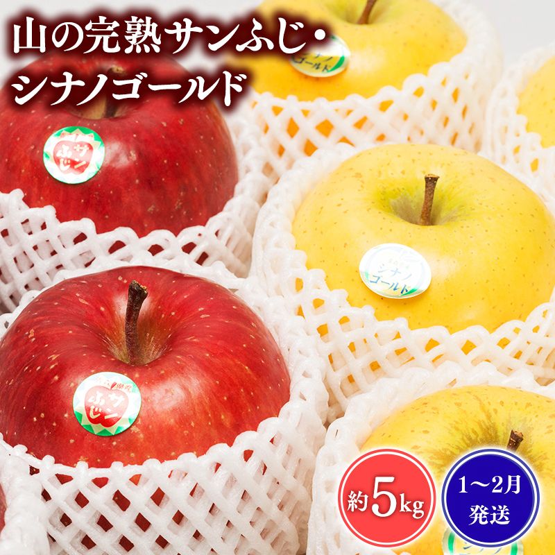 ≪1~2月発送≫山の完熟サンふじ・シナノゴールド約5kg【青森県 平川市 吹田りんご園】シナノ ゴールド サンふじ ふじ りんご リンゴ 果物 くだもの フルーツ 平川市産 完熟りんご