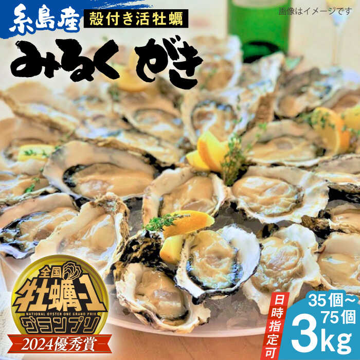 【ふるさと納税】【日時指定可】加熱用 みるくがき 3kg から付き 活牡蠣 ≪糸島≫【豊久丸】ブランド/カキ/牡蛎[AEJ005] 16000円