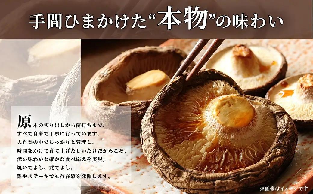 京都丹波 原木しいたけ 1kg 丹波かなまろんふぁーむ
