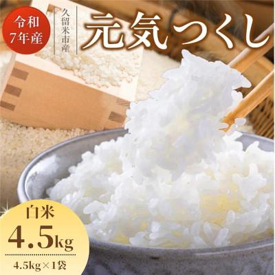 ふるさと納税 久留米市 【令和7年産 新米】福岡県産ブランド米 元気つくし(白米) 4.5kg(久留米市)