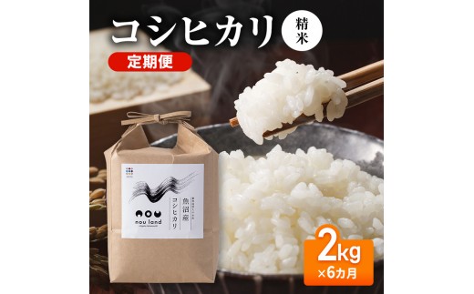【先行予約】令和8年産 定期便 コシヒカリ精米2kg×6カ月