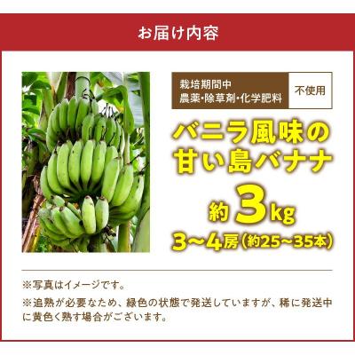 ふるさと納税 和泊町 栽培期間中 農薬・除草剤・化学肥料不使用!バニラ風味の甘い島バナナ 3キロ |  | 03