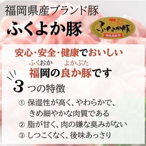福岡県産ふくよか豚詰合せセットD【配送不可地域：離島】【1656359】