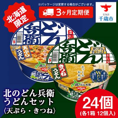 ふるさと納税 千歳市 【定期便3カ月】日清 北のどん兵衛 うどんセット＜天ぷら・きつね＞各1箱・合計2箱