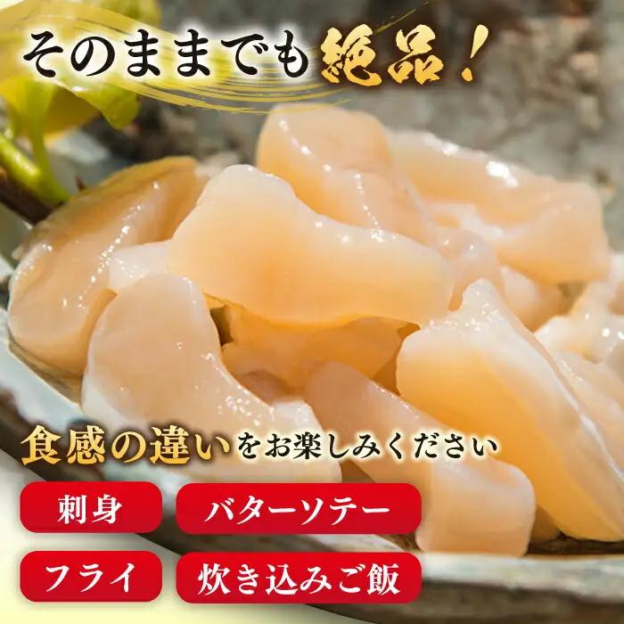 【ふるなびWEEK対象】アコヤ 貝 貝柱 1kg [JCJ004]