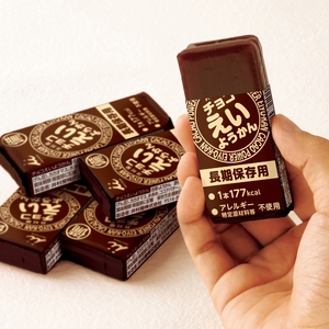 羊羹 チョコ えいようかん 非常食 防災 ようかん 羊羹