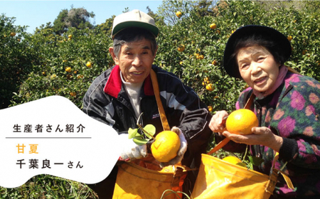 HiradoFruit＆Vegetablesjelly3種セット【株式会社平戸ファーム】[KAB099]
