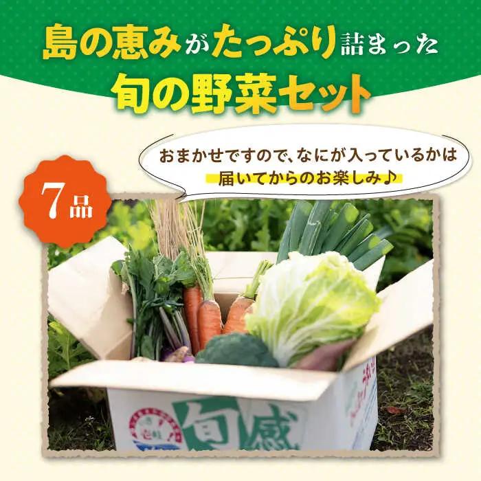 【全3回定期便】旬の野菜セット 7品 [JBO044] 野菜 詰め合わせ