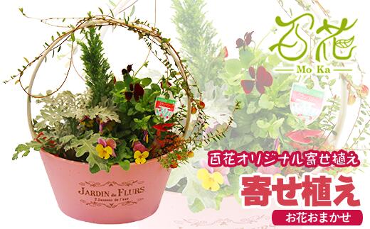 【ふるさと納税】花 寄せ植え おすすめ 完成品 ギフト 花器 百花オリジナルの寄せ植え (3000円分) プレゼント ガーデニング 季節 お花 お祝い 贈り物 誕生日 母の日 父の日 フラワー グリーン 観葉植物 記念日 結婚祝い 生花 春 夏 秋 冬 百花 -MoKa- 岩手県 滝沢市 送料無料
