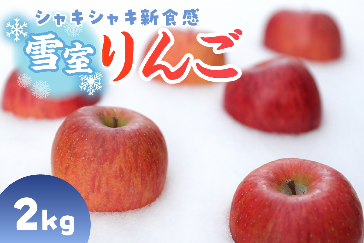 雪室りんご サンふじ 2kg 程度（5～6個程度）【2025年3月上旬～下旬 順次発送】青森りんご 青森 りんご 林檎 リンゴ 2キロ 五所川原 雪室 雪 貯蔵 ringo