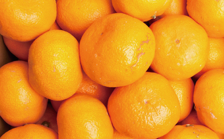 【先行予約】家庭用大きな有田みかん大きな(2L以上混合)2.5kg+250g 11月より発送/ みかん ミカン 有田みかん 柑橘 フルーツ 果物 和歌山 オレンジ【ikd176A】 