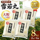 【ふるさと納税】 【令和6年産 新米 先行予約】 【米食味コンクール金賞受賞農園】 特別栽培米 雪若丸 (大粒厳選) 8kg (2kg×4袋) 《令和6年10月上旬～発送》 『しまさき農園』 山形南陽産 米 白米 精米 ご飯 農家直送 山形県 南陽市 [3001-R6]