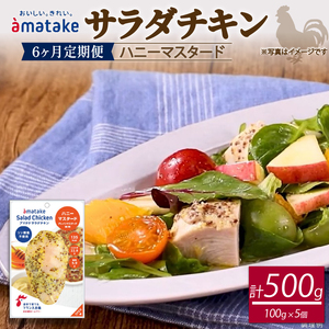 【6ヶ月/定期便】 サラダチキン ハニーマスタード味 100g×5個 計500g 6回 リン酸不使用 冷凍 鶏肉 サラダ スパイス お弁当 おかず