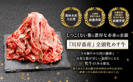 神戸ビーフ 神戸牛 切り落とし 白小間 神戸ビーフ【1kg×6回 計6kg】【定期便】