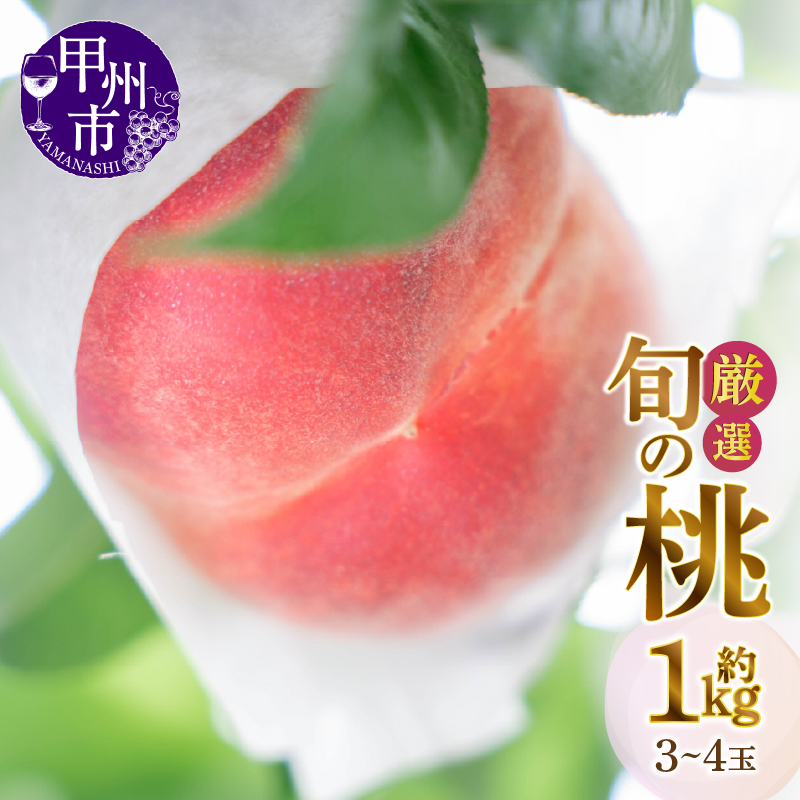 甲州市産厳選旬の桃 約1kg 3玉～4玉入り【2025年発送】（MG）A07-481