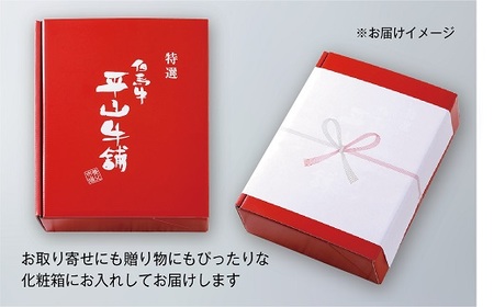 【神戸牛】しゃぶしゃぶ 赤身 ＆ 霜降り 特選 食べ比べセット 500g【配送不可地域：離島】【1313139】