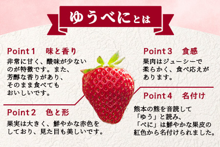 【2025年3月～発送開始】先行予約 熊本県産 いちご ゆうべに 2箱 (250g×8パック) イチゴ 果物 フルーツ 熊本県 多良木町 農園直送 107-0502