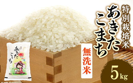 令和6年産　特別栽培米あきたこまち　無洗米5kg【配送不可地域：離島・沖縄県】【1283154】