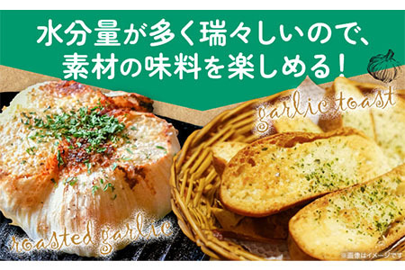 [0.4-194]　【令和6年発送先行受付】生にんにく（福地ホワイト六片種）500g