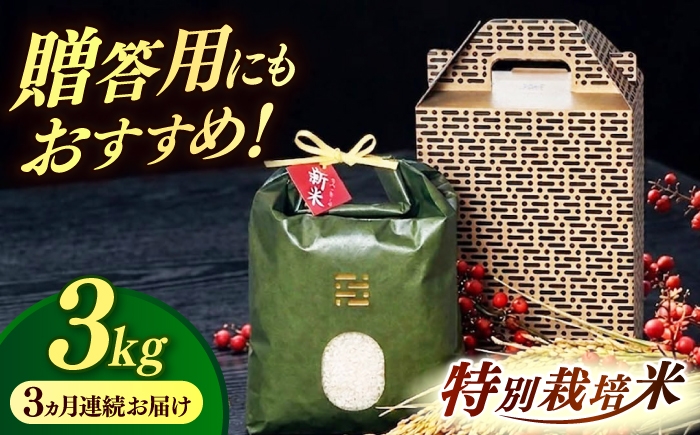 
                  【全3回定期便】とくべつの中のとくべつ 特別栽培米 夢つくし 3kg itoshimacco《築上町》【株式会社やました】 [ABEX002]
                