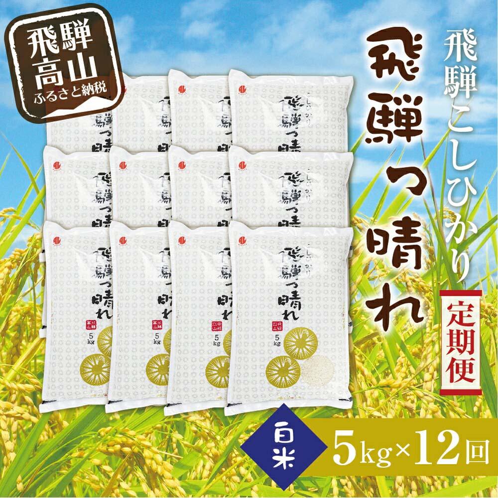 【ふるさと納税】米 定期便 60kg ( 5kg × 12ヶ月 ) お米 飛騨っ晴れ こしひかり アグリランド 岐阜 高山市 飛騨高山 岐阜県 白米 | 送料無料 コシヒカリ 精米 産直 産地直送 お取り寄せ 人気 お楽しみ おすすめ
