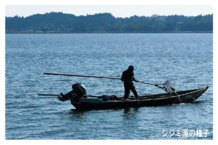 054涸沼の大和しじみ【冷凍】1.6kg（400g×4パック）