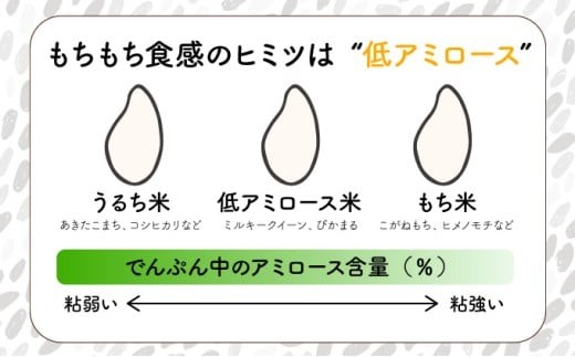 ＜数量限定＞【定期便・全2回】串間産「超早場米」 ミルキークイーン 計10kg（5kg×2回）_K028-T002