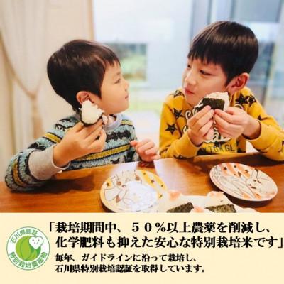 ふるさと納税 能美市 【毎月定期便】【日本農業賞大賞】厳選プレミアム米4.5kg精白米(特別栽培米コシヒカリ)全2回 |  | 02