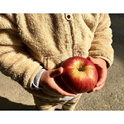 【ふるさと納税】〈信州中野まつじるし農園〉皮ごとまるかじり!ちびっこ完熟ふじ家庭用約10kg【1210377】