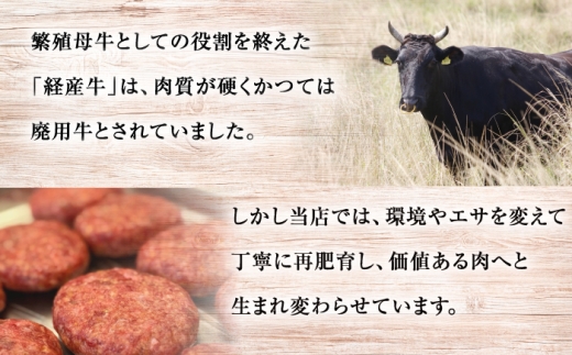 黒毛和牛 ハンバーグ 100g×6個 ハンバーグ はんばーぐ 小分け 個包装 冷凍 はんばーぐ hannba-gu hamburg 国産はんばーぐ 人気 おすすめ ハンバーグ ＜ミクリヤ畜産＞ [CF