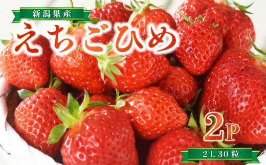 いちご 越後姫 2パック 2L 30粒 本州限定 季節限定 旬 いちご 苺 くだもの フルーツ イチゴ 果物 スイーツ 越後姫 いちご ブランド 人気 新潟県 新発田市 JA北新潟 C09_01