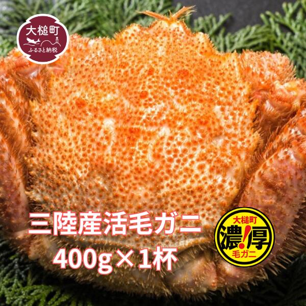 【ふるさと納税】毛蟹 活 毛ガニ 400g～600g 相当×1杯 ( 1尾 ) 岩手県 大槌町 毛がに 2026年 3〜4月 発送 先行予約 冷蔵 活ガニ 活がに 活蟹 毛蟹 かに 海産物 蟹 カニ 直送 三陸産 茹でる 海鮮 魚介 かにみそ 贅沢 海鮮 寿司 ちらし 毛カニ がに 濃厚 先行予約