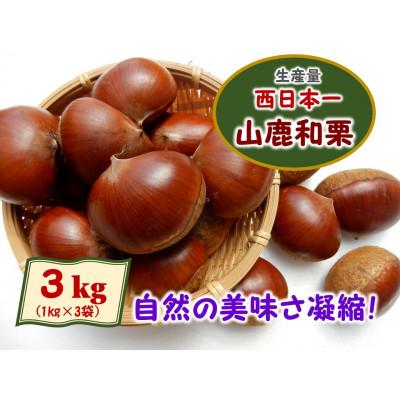 ふるさと納税 山鹿市 熊本県山鹿和栗(3kg)