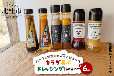 八ヶ岳の野菜がぎゅっと詰まったカラダ喜ぶドレッシング詰め合わせ×6本 ドレッシング 野菜 詰め合わせ 6本 フェリチタドレッシング 杜のドレッシング ナチュラルドレッシング 調味料 食べ比べ 手づくり サラダドレッシング [h131]