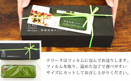 西尾抹茶のテリーヌ　濃厚抹茶スイーツ　テリーヌショコラ(500g)・A165