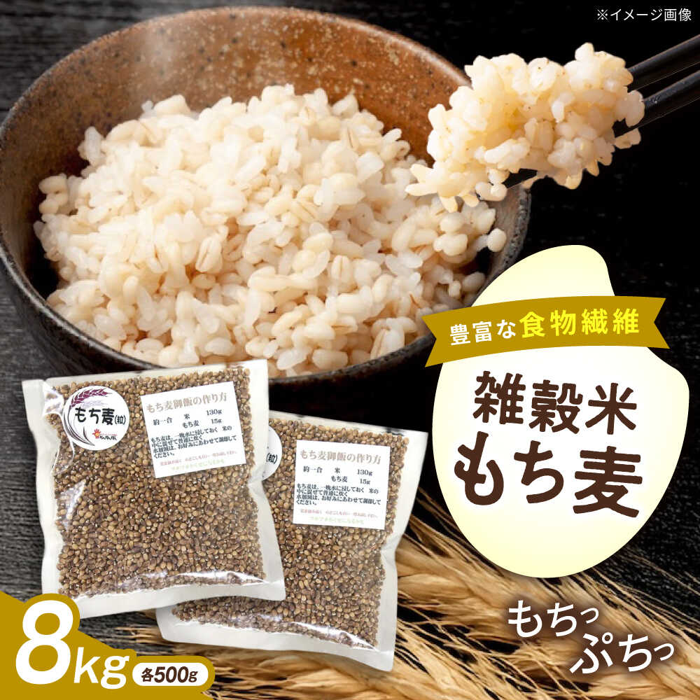 【ふるさと納税】内子町産もち麦8kg ／ 国産 雑穀米 もち麦 モチムギ モチ麦 もちむぎ 麦 むぎ ムギ ごはん おすすめ 食品 送料無料 米 内子町産 もち麦ごはん ご飯 食物繊維 人気 贈答 ギフト 8kg 8キロ 【株式会社内子フレッシュパークからり】[BKAD015] 38000 38000円