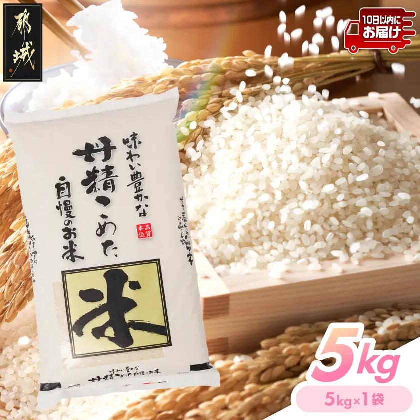 都城産米と国産米ブレンド 5kg≪みやこんじょ特急便≫〔LG-33-001-5kg-Q〕_(都城市) お米 国産ブレンド米 5kg 精米