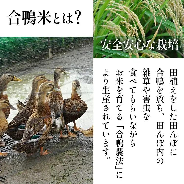 令和8年産 予約 合鴨米「元気つくし」（玄米・10kg） BI21