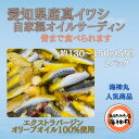 【ふるさと納税】 真 イワシ 5尾 × 2パック 自家製 オイルサーディン 冷凍 小分け 海鮮 魚介 海の幸 マイワシ オリーブ オイル つまみ ワイン パスタ サラダ カナッペ 愛知県 南知多町 人気 おすすめ 【配送不可地域：離島】